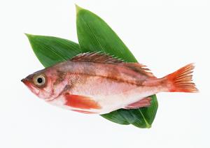 【公式】大阪のお好み焼き店「ぼてぢゅう」グループの魅力と店舗情報