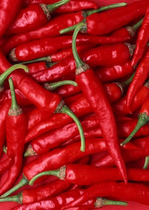 岡山津山の愛され弁当屋「つるや」の魅力と店舗情報｜こだわりの仕出し弁当とお得なサービス