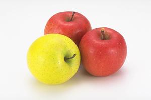 神奈川県横浜市港北区綱島西の老舗すた丼店｜伝説のすた丼屋 綱島店の魅力と店舗情報